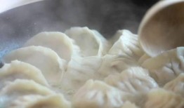 厨师爆料饺子馆视频播放,厨师亲述幕后制作过程，视频曝光惊人细节