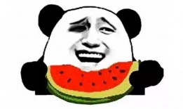 娱乐吃瓜酱讲腋窝饭团,腋窝饭团背后的趣味故事